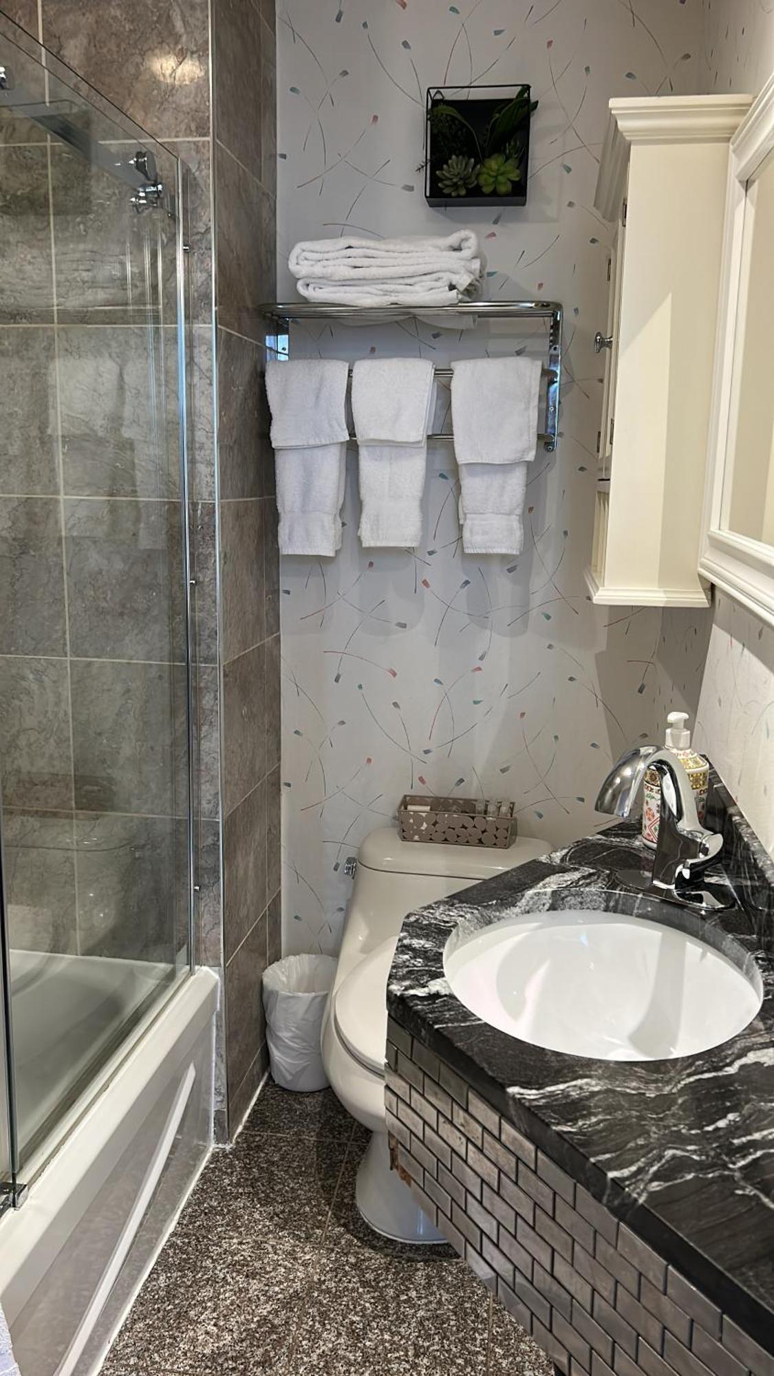 Deluxe King Suite